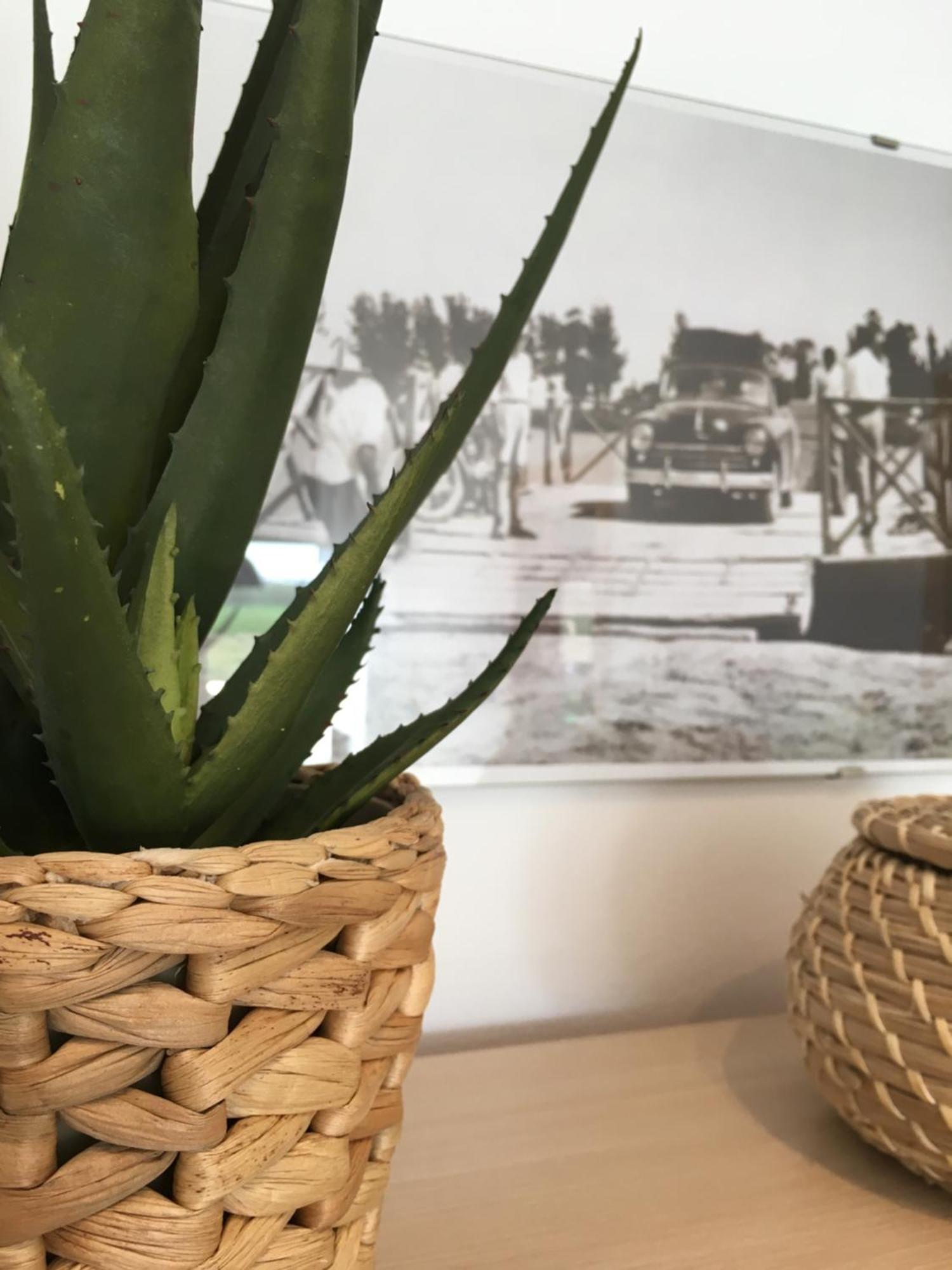 Apartament Lo Passador Deltebre Eksteriør bilde